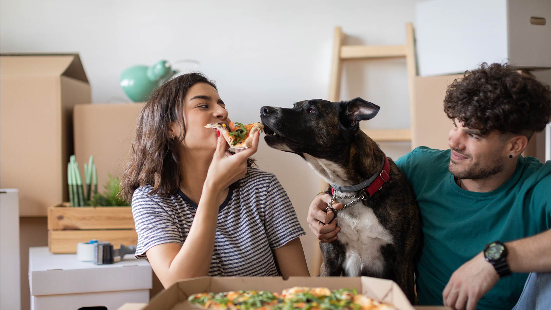 buy a house 0 deposit